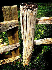 Rustic Gate