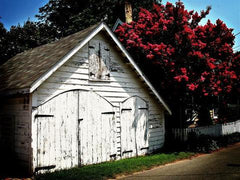 Barn Bloomed