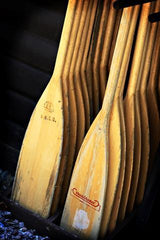 Paddles