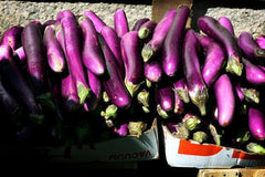 Eggplant